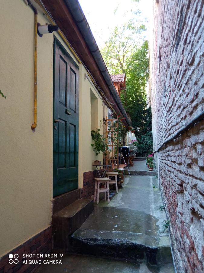 Crown Of Karolina Apartment Brasov Bagian luar foto