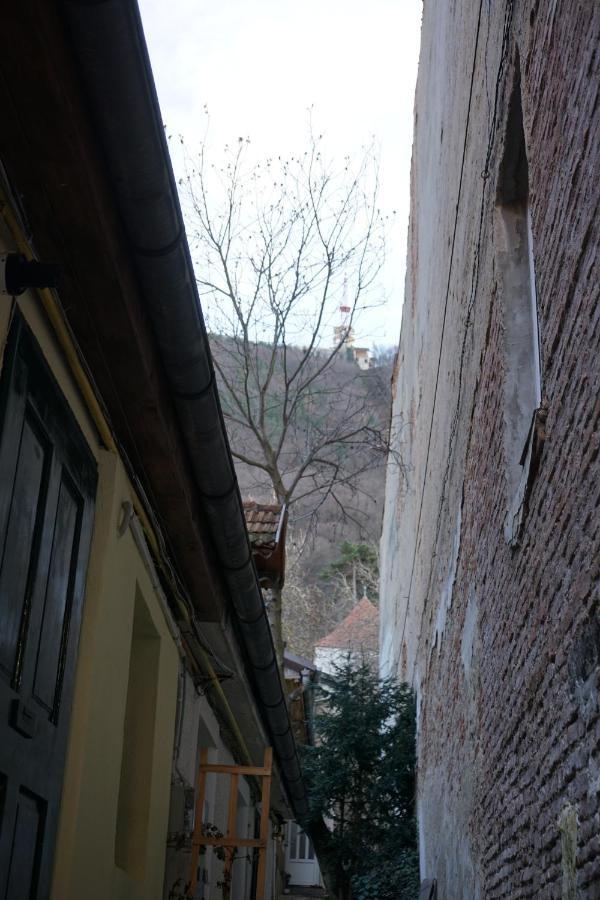 Crown Of Karolina Apartment Brasov Bagian luar foto